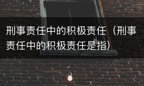 刑事责任中的积极责任（刑事责任中的积极责任是指）