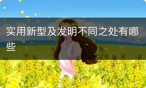 实用新型及发明不同之处有哪些