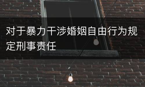 对于暴力干涉婚姻自由行为规定刑事责任
