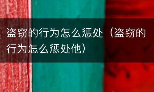 盗窃的行为怎么惩处（盗窃的行为怎么惩处他）