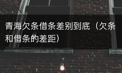 青海欠条借条差别到底（欠条和借条的差距）