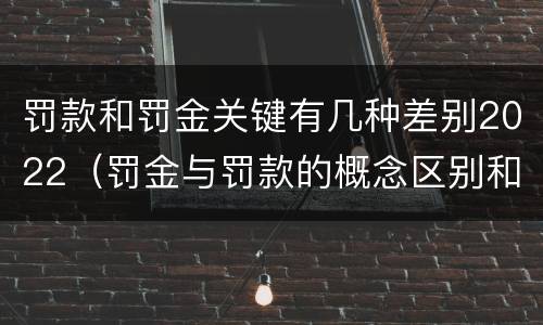 罚款和罚金关键有几种差别2022（罚金与罚款的概念区别和联系）