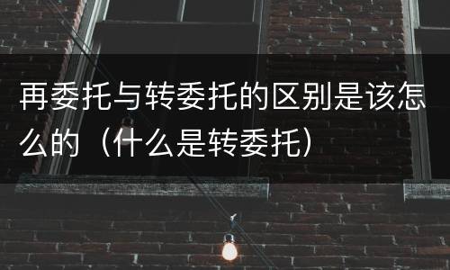 再委托与转委托的区别是该怎么的（什么是转委托）