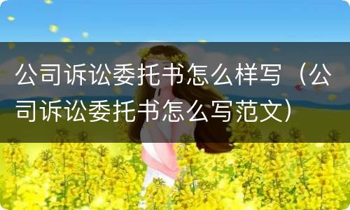 公司诉讼委托书怎么样写（公司诉讼委托书怎么写范文）