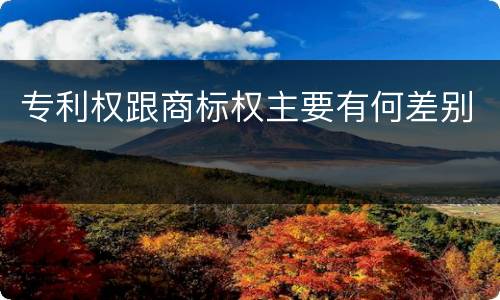 专利权跟商标权主要有何差别