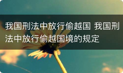 我国刑法中放行偷越国 我国刑法中放行偷越国境的规定