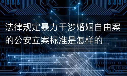 法律规定暴力干涉婚姻自由案的公安立案标准是怎样的