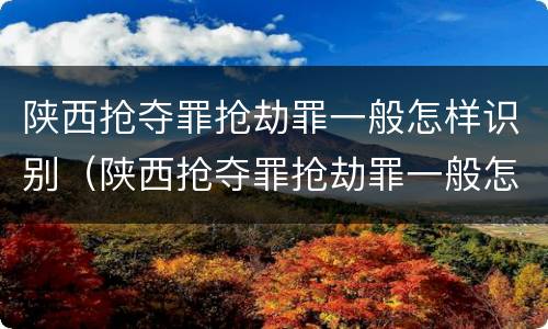 陕西抢夺罪抢劫罪一般怎样识别（陕西抢夺罪抢劫罪一般怎样识别的）