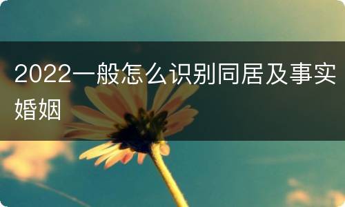 2022一般怎么识别同居及事实婚姻