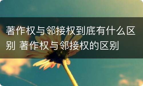 著作权与邻接权到底有什么区别 著作权与邻接权的区别