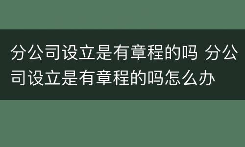 分公司设立是有章程的吗 分公司设立是有章程的吗怎么办