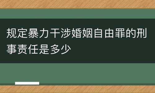 规定暴力干涉婚姻自由罪的刑事责任是多少
