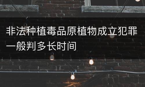 非法种植毒品原植物成立犯罪一般判多长时间