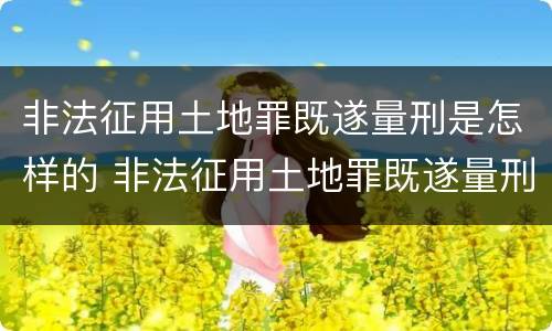 非法征用土地罪既遂量刑是怎样的 非法征用土地罪既遂量刑是怎样的标准