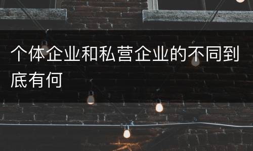 个体企业和私营企业的不同到底有何
