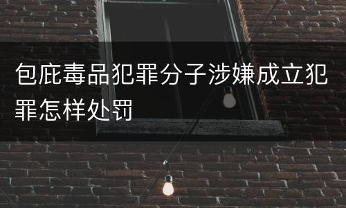 包庇毒品犯罪分子涉嫌成立犯罪怎样处罚
