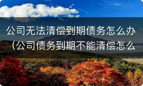 公司无法清偿到期债务怎么办（公司债务到期不能清偿怎么办）