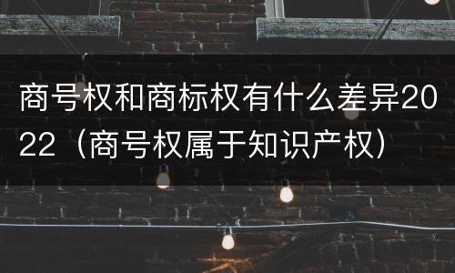 商号权和商标权有什么差异2022（商号权属于知识产权）