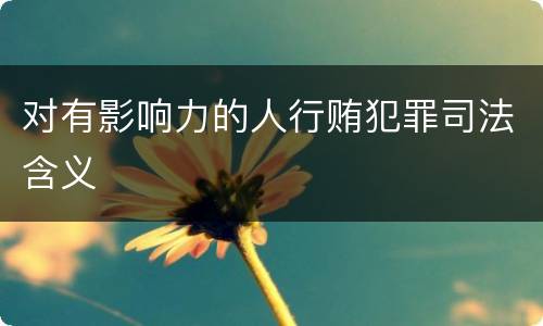 对有影响力的人行贿犯罪司法含义