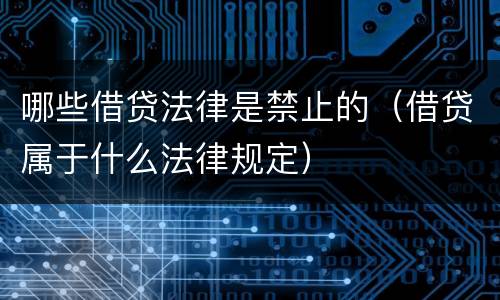 哪些借贷法律是禁止的（借贷属于什么法律规定）