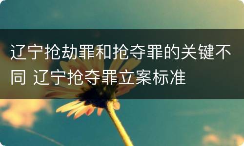 辽宁抢劫罪和抢夺罪的关键不同 辽宁抢夺罪立案标准