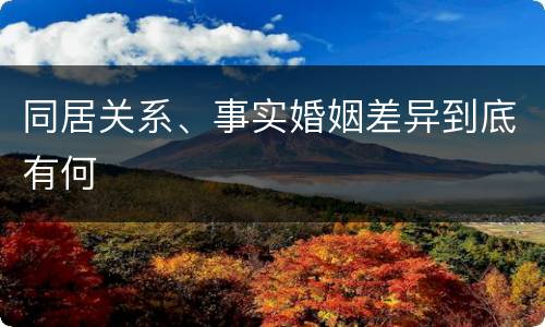 同居关系、事实婚姻差异到底有何