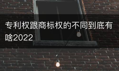 专利权跟商标权的不同到底有啥2022