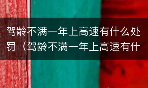 驾龄不满一年上高速有什么处罚（驾龄不满一年上高速有什么处罚嘛）