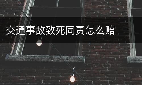 交通事故致死同责怎么赔