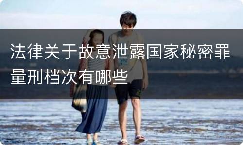 法律关于故意泄露国家秘密罪量刑档次有哪些