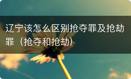 辽宁该怎么区别抢夺罪及抢劫罪（抢夺和抢劫）