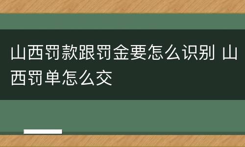 山西罚款跟罚金要怎么识别 山西罚单怎么交