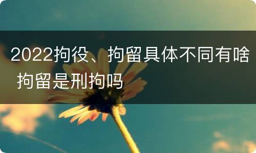 2022拘役、拘留具体不同有啥 拘留是刑拘吗