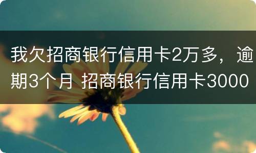 我欠招商银行信用卡2万多，逾期3个月 招商银行信用卡3000逾期两个月