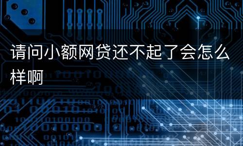 请问小额网贷还不起了会怎么样啊
