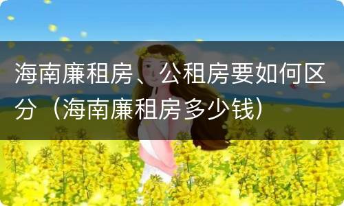 海南廉租房、公租房要如何区分（海南廉租房多少钱）