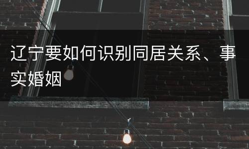 辽宁要如何识别同居关系、事实婚姻