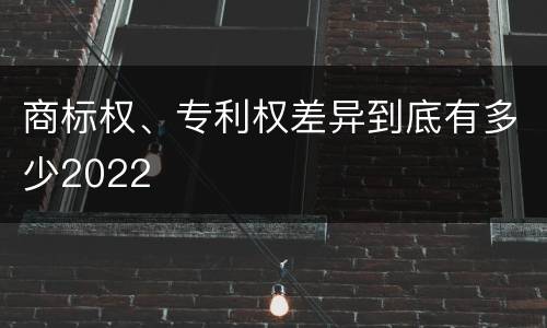 商标权、专利权差异到底有多少2022