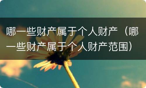 哪一些财产属于个人财产（哪一些财产属于个人财产范围）