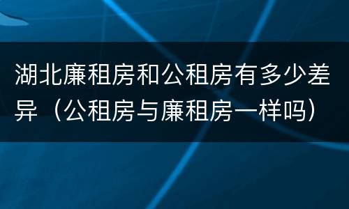 湖北廉租房和公租房有多少差异（公租房与廉租房一样吗）