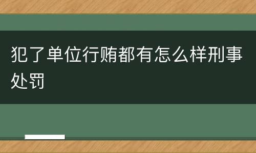 犯了单位行贿都有怎么样刑事处罚