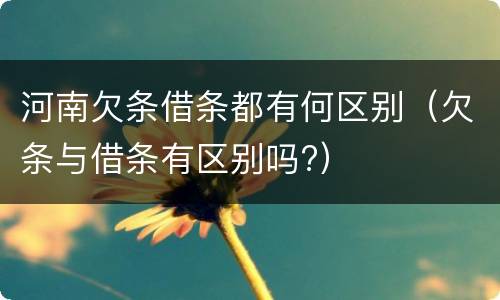 河南欠条借条都有何区别（欠条与借条有区别吗?）