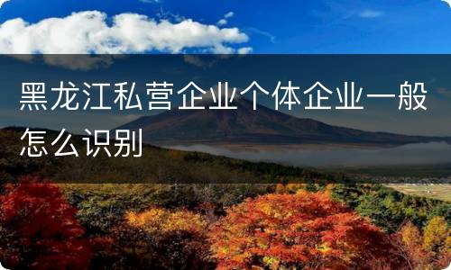 黑龙江私营企业个体企业一般怎么识别