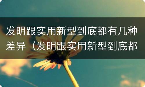 发明跟实用新型到底都有几种差异（发明跟实用新型到底都有几种差异）