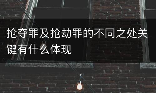 抢夺罪及抢劫罪的不同之处关键有什么体现