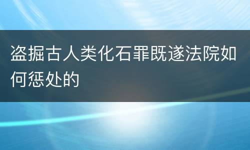 盗掘古人类化石罪既遂法院如何惩处的