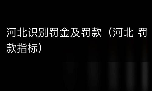 河北识别罚金及罚款（河北 罚款指标）