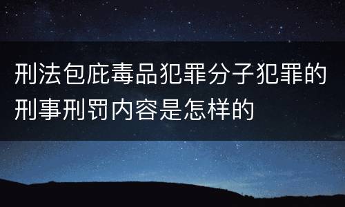 刑法包庇毒品犯罪分子犯罪的刑事刑罚内容是怎样的
