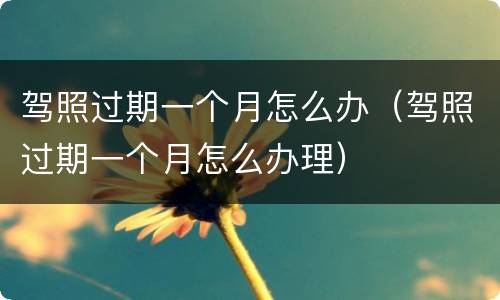 驾照过期一个月怎么办（驾照过期一个月怎么办理）