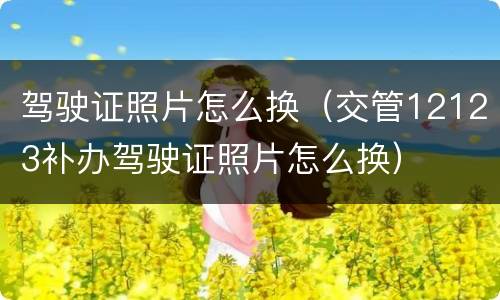 驾驶证照片怎么换（交管12123补办驾驶证照片怎么换）